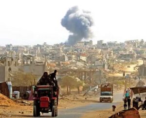 WhatsApp Image 2025-11-02 at 10.11.52