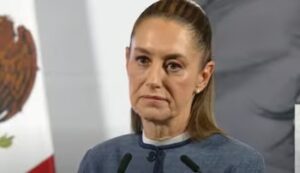 WhatsApp Image 2025-11-03 at 09.10.40