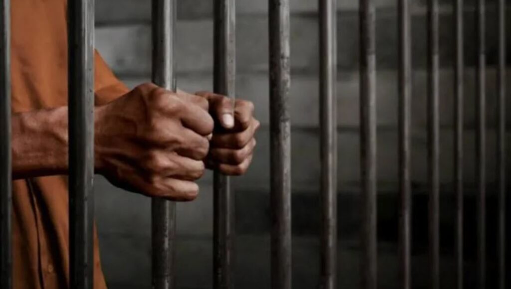 WhatsApp Image 2025-11-08 at 14.43.00