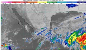 WhatsApp Image 2025-11-11 at 07.37.29