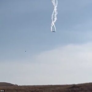 WhatsApp Image 2025-11-11 at 08.48.06