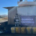 Sedena reporta 83 detenidos y amplio aseguramiento en Michoacán