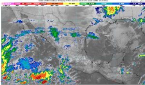 WhatsApp Image 2025-11-29 at 08.51.12