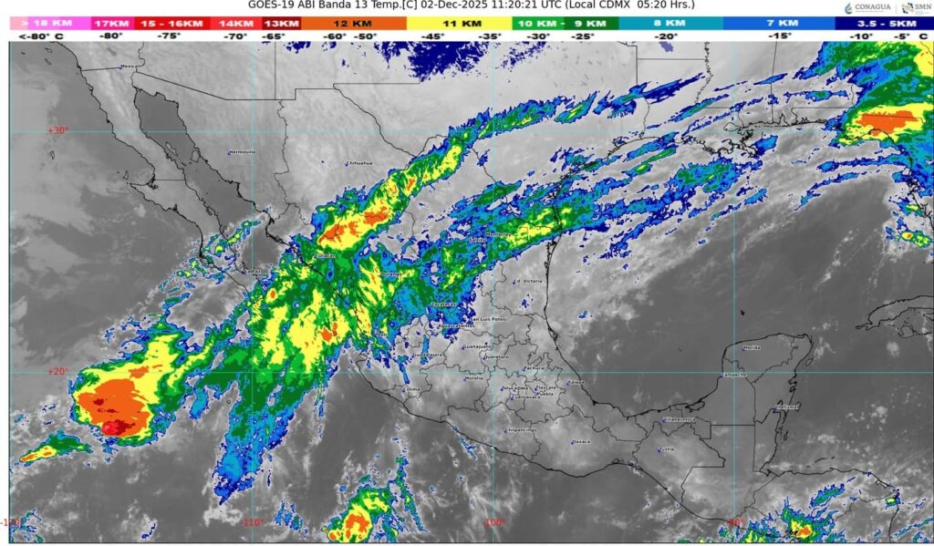 WhatsApp Image 2025-12-02 at 07.27.42