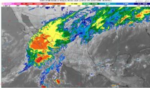 WhatsApp Image 2025-12-05 at 07.53.26