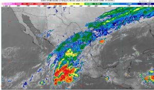 WhatsApp Image 2025-12-06 at 08.44.44