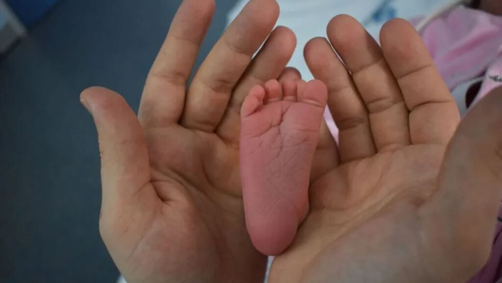 WhatsApp Image 2025-12-16 at 09.30.40