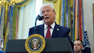 WhatsApp Image 2025-12-17 at 08.52.13