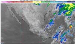 WhatsApp Image 2025-12-18 at 07.41.19