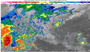 WhatsApp Image 2025-12-29 at 08.09.04