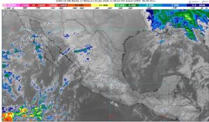 WhatsApp Image 2026-01-02 at 08.07.26