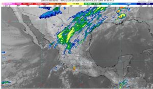 WhatsApp Image 2026-01-09 at 07.33.22