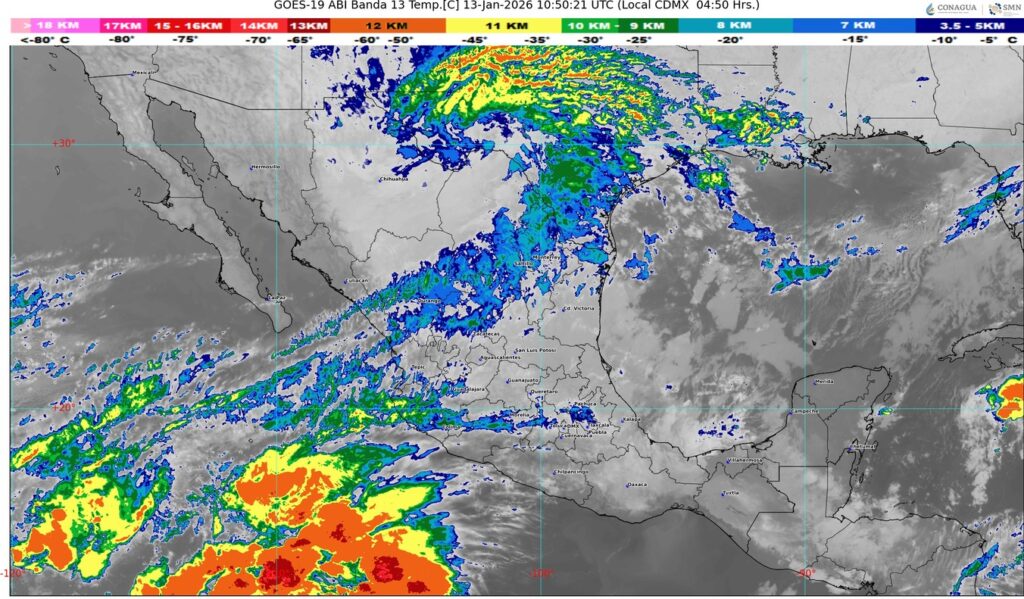 WhatsApp Image 2026-01-13 at 07.42.56