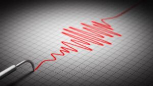 WhatsApp Image 2026-01-16 at 07.41.36