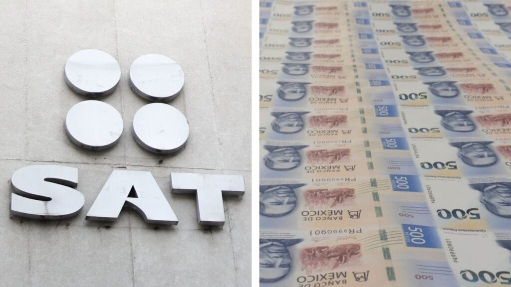 WhatsApp Image 2026-01-16 at 10.02.14