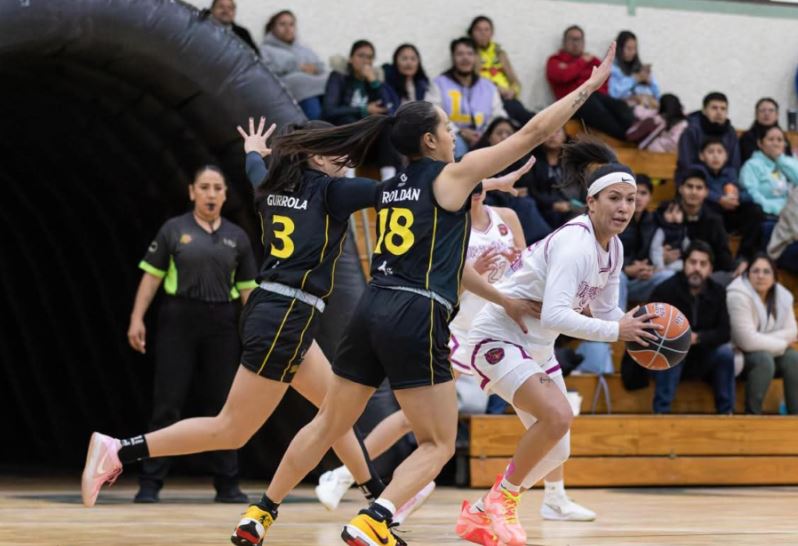 WhatsApp Image 2026-01-27 at 15.06.04