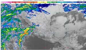 WhatsApp Image 2026-01-28 at 08.04.29