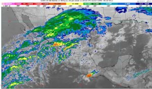 WhatsApp Image 2026-01-30 at 07.49.00