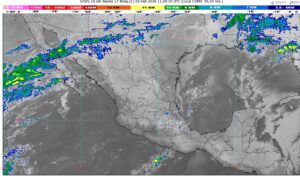 WhatsApp Image 2026-02-03 at 07.35.26