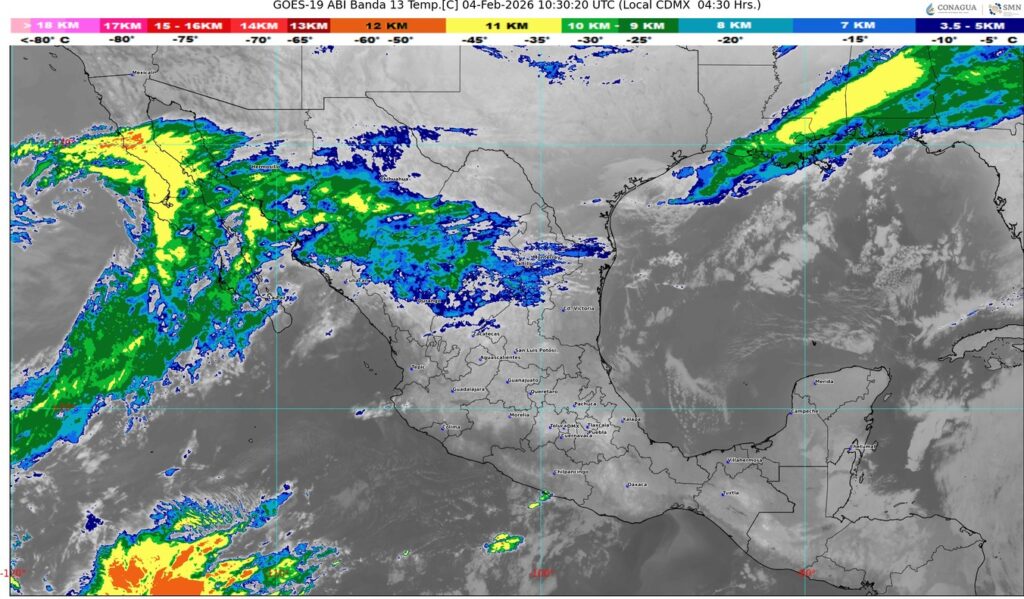 WhatsApp Image 2026-02-04 at 07.45.04