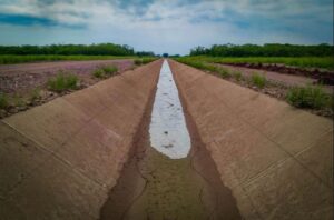 WhatsApp Image 2026-02-04 at 11.31.58