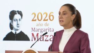 WhatsApp Image 2026-02-12 at 09.31.52