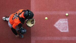 WhatsApp Image 2026-02-14 at 10.13.42