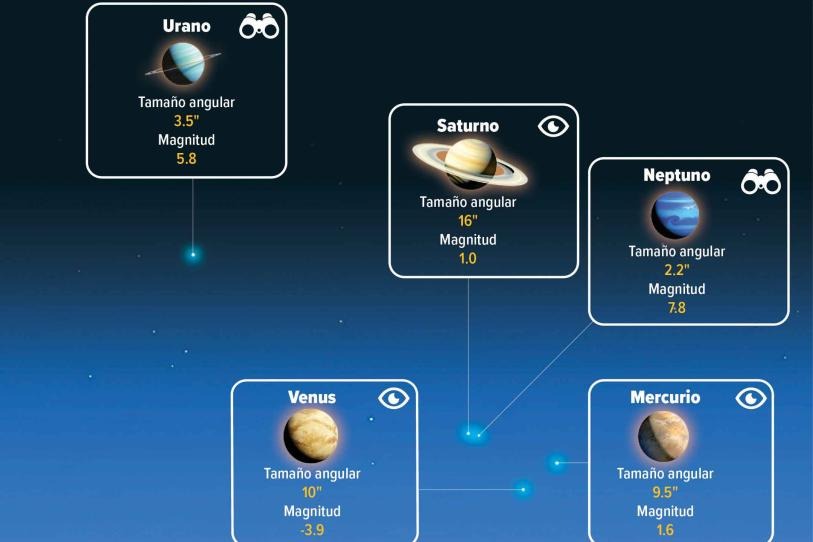 WhatsApp Image 2026-02-15 at 09.30.39