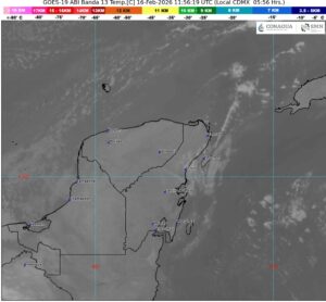 WhatsApp Image 2026-02-16 at 08.07.57