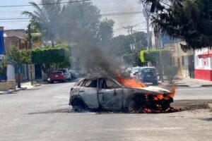 WhatsApp Image 2026-02-22 at 14.19.28