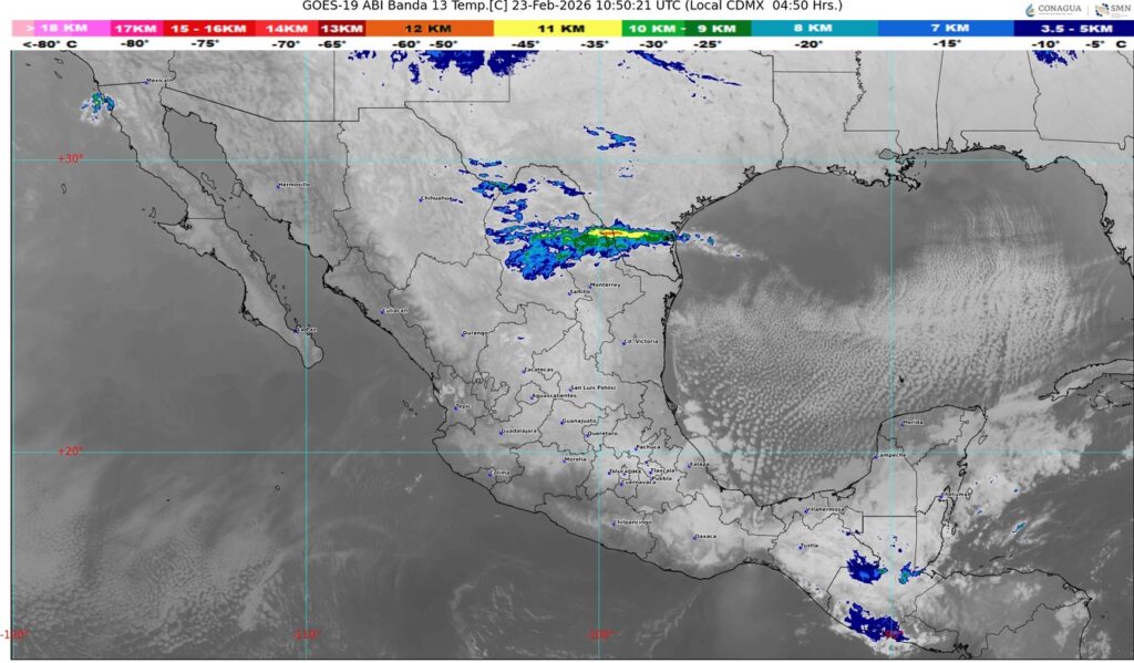 WhatsApp Image 2026-02-23 at 07.47.26