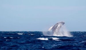 WhatsApp Image 2026-02-25 at 11.29.05