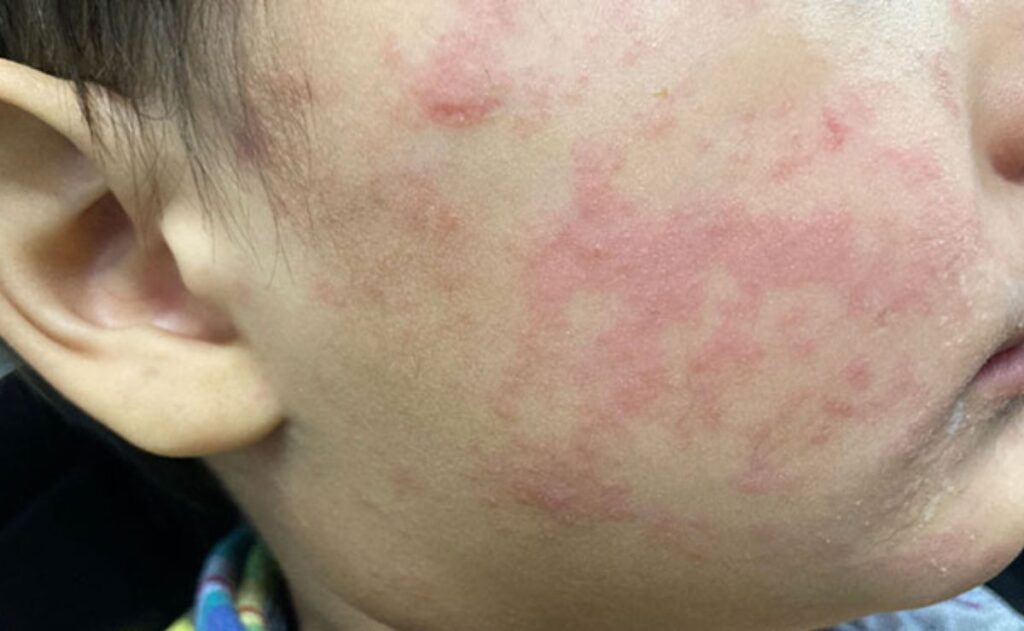 WhatsApp Image 2026-02-27 at 09.20.03