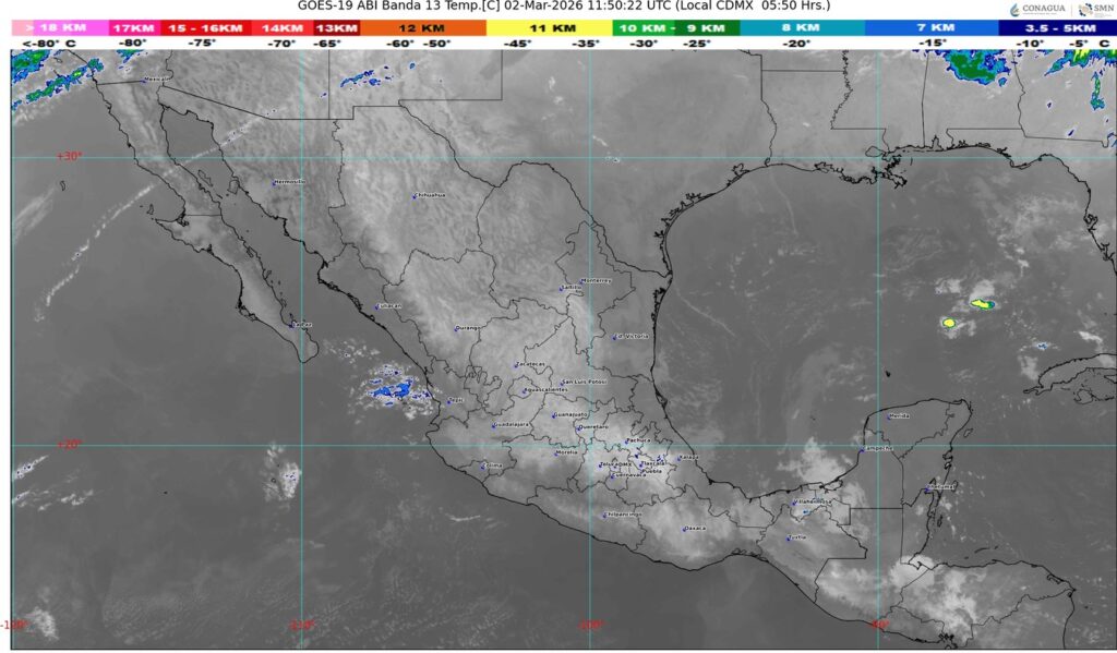 WhatsApp Image 2026-03-02 at 07.48.42