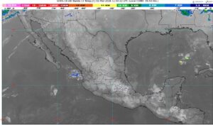 WhatsApp Image 2026-03-02 at 07.48.42