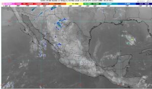 WhatsApp Image 2026-03-03 at 07.43.17