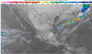 WhatsApp Image 2026-03-12 at 09.36.49