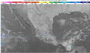 WhatsApp Image 2026-03-13 at 07.45.34