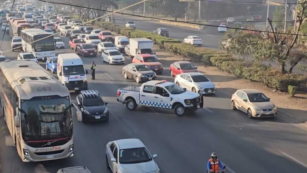 WhatsApp Image 2026-03-24 at 09.56.36 (5)