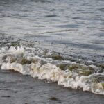 Derrame de hidrocarburo en el Golfo de México tiene tres fuentes, revela Secretaría de Marina