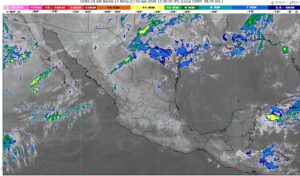 WhatsApp Image 2026-04-03 at 09.22.35