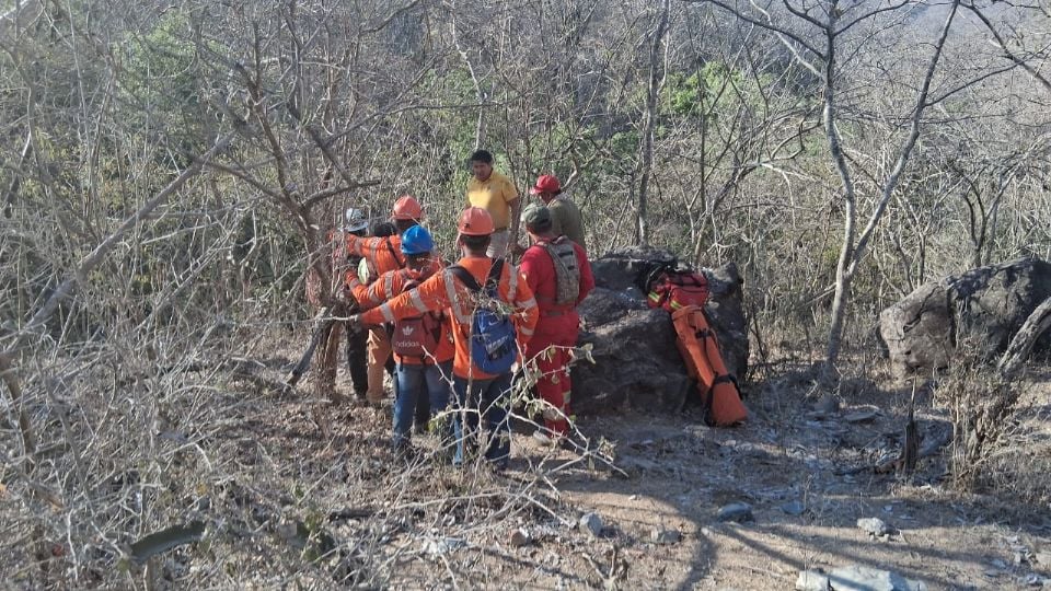 WhatsApp Image 2026-04-03 at 10.14.27 (1)