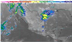 WhatsApp Image 2026-04-10 at 08.19.39