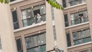 WhatsApp Image 2026-04-17 at 09.46.21