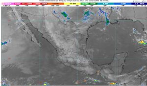 WhatsApp Image 2026-04-24 at 08.05.36 (1)